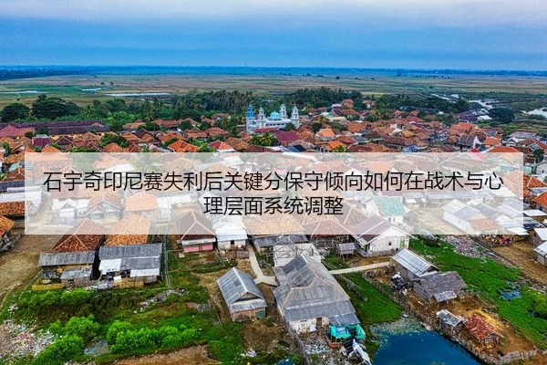 shi-yu-qi-yin-ni-sai-shi-li-hou-guan-jian-fen-bao-shou-qing-xiang-ru-he-zai-zhan-shu-yu-xin-li-ceng-mian-xi-tong-tiao-2-703.jpg